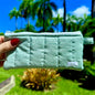 Green Mint Pencil & Glasses Case