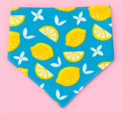 🐶 Scrunchies Pet Bandanas - Lemon