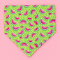 🐶 Scrunchies Pet Bandanas - Melon