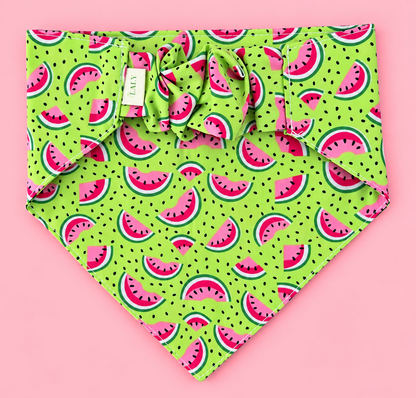 🐶 Scrunchies Pet Bandanas - Melon