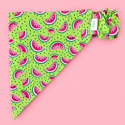 🐶 Scrunchies Pet Bandanas - Melon
