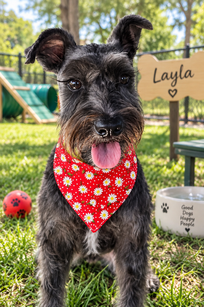 🐶 Scrunchies Pet Bandanas - Tiny Flowers (red)