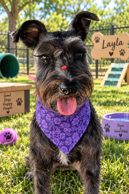 🐶 Scrunchies Pet Bandanas - Violet Flowers