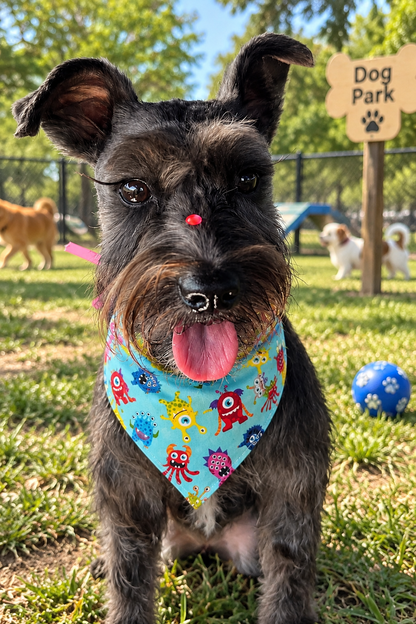 🐶 Scrunchies Pet Bandanas - Little Monsters